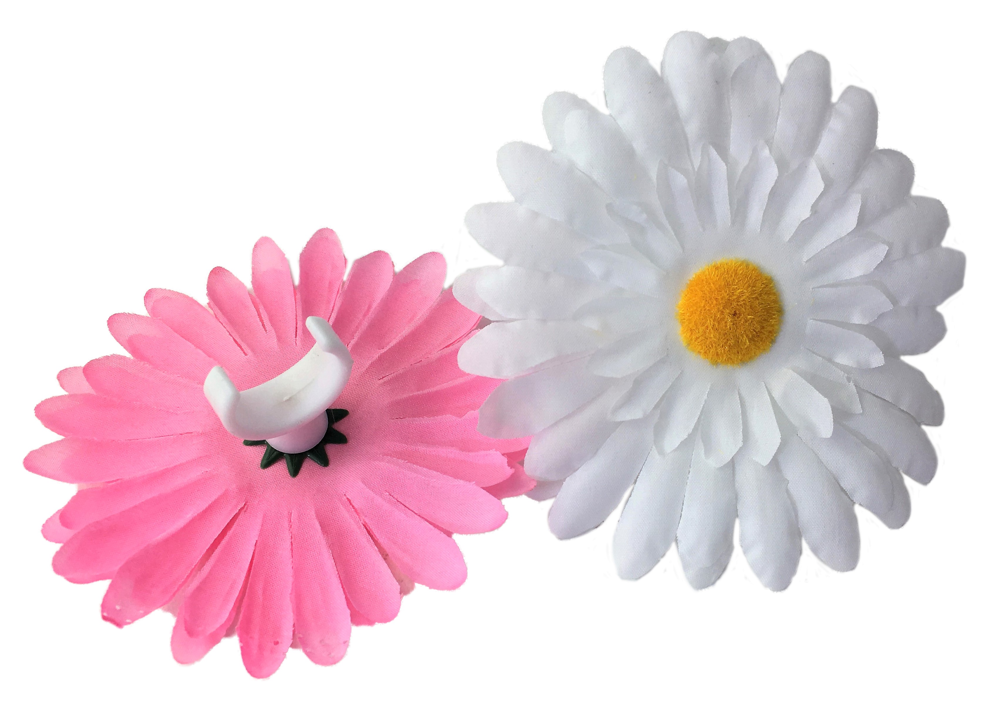 Handlebar flowers Painted Daisy pink and white