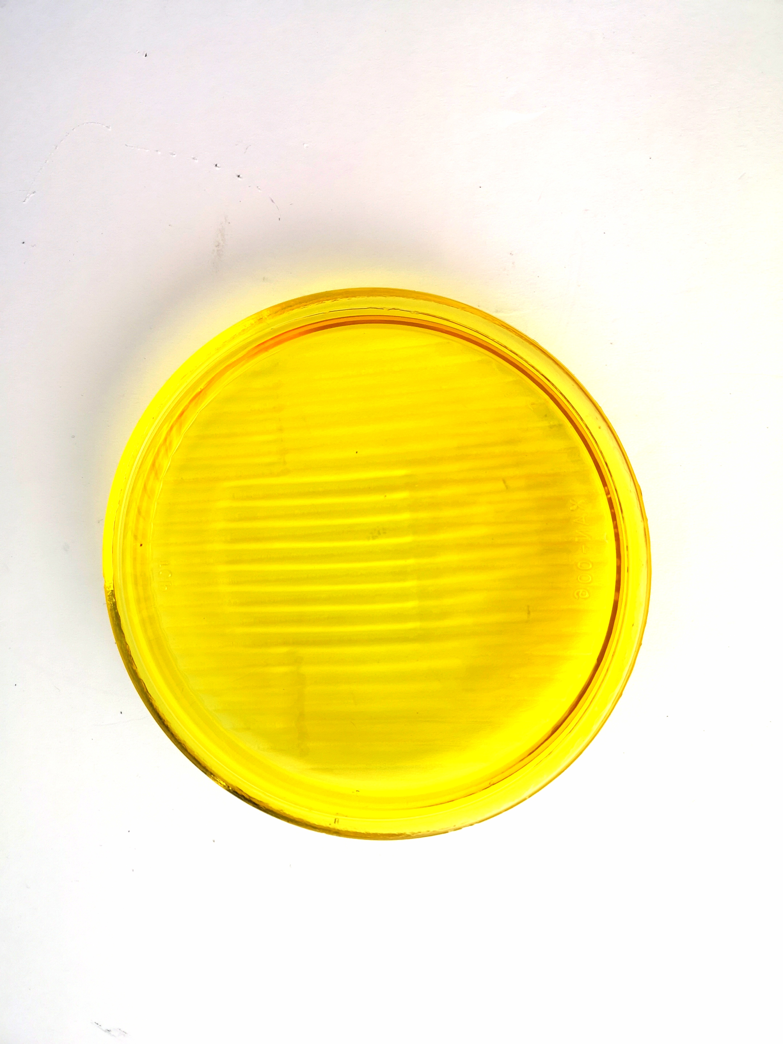 Vetro di ricambio per lampada frontale NX 453 452, giallo